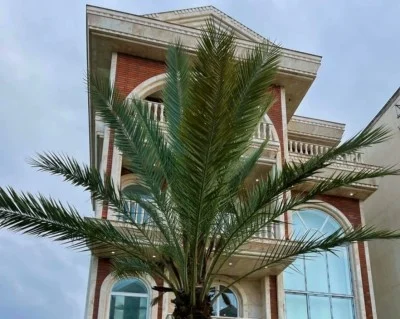 ویلای لوکس پالم دریاگوشه متل قو