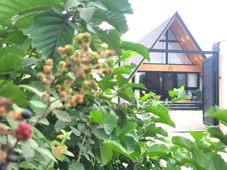 اجاره کلبه دو خواب در متل قو - سی سرا